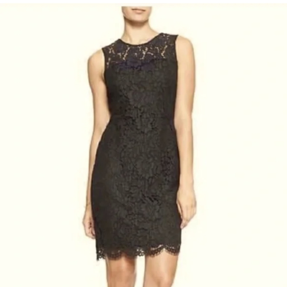 Two-Tone lace sheep dress